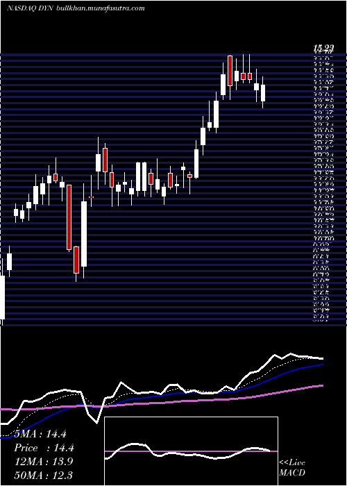  Daily chart DyneTherapeutics