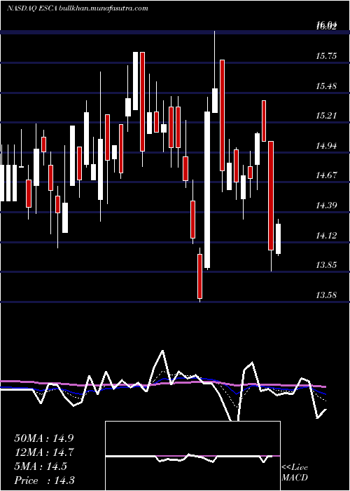  Daily chart EscaladeIncorporated