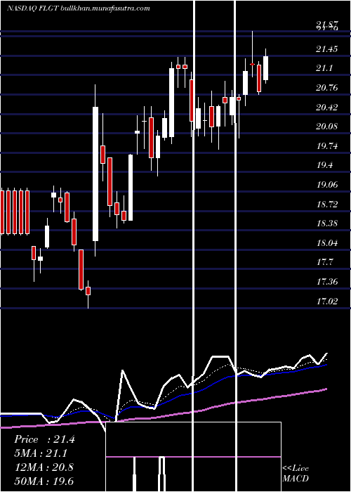  Daily chart FulgentGenetics