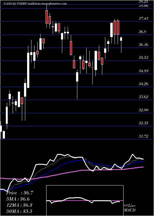 Daily chart FirstMid