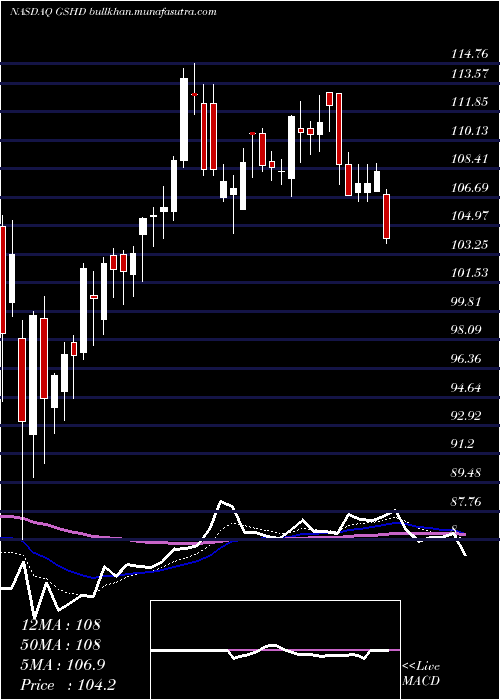  Daily chart GooseheadInsurance