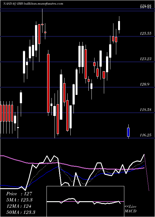 Daily chart IsharesNasdaq