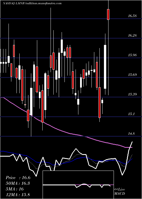  Daily chart LimoneiraCo