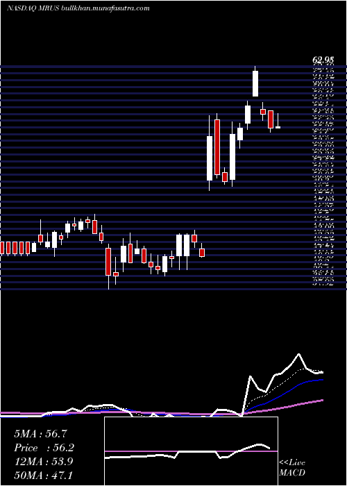  Daily chart MerusN