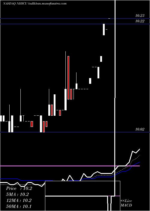  Daily chart NewholdInvestment