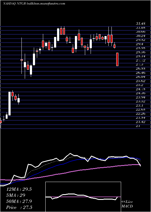  Daily chart NetgearInc