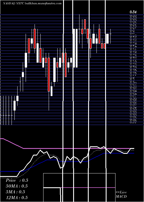  Daily chart NextcureInc