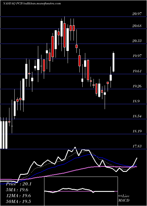  Daily chart PacificCity