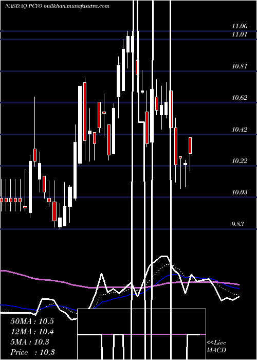  Daily chart PureCycle