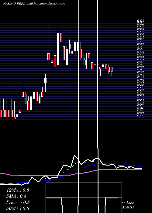  Daily chart PurpleInnovation