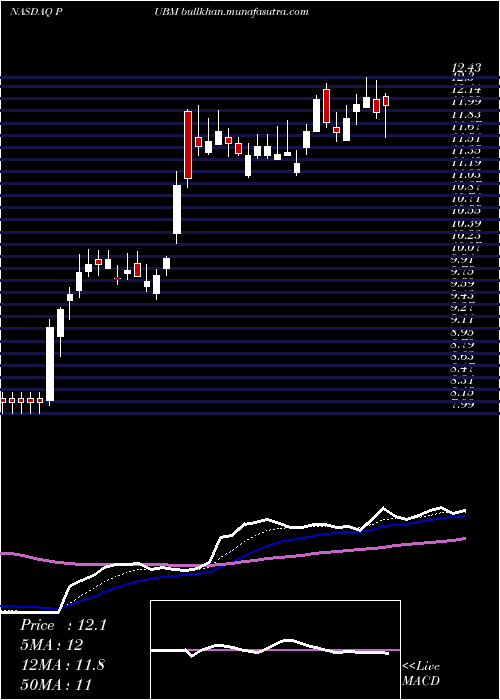  Daily chart PubmaticInc