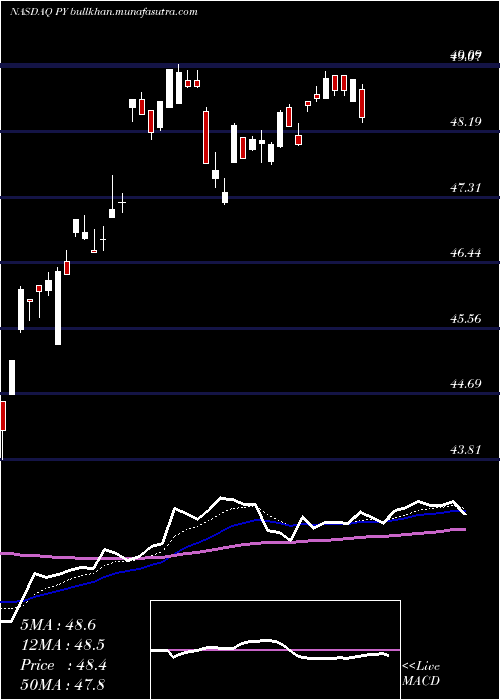  Daily chart PrincipalShareholder