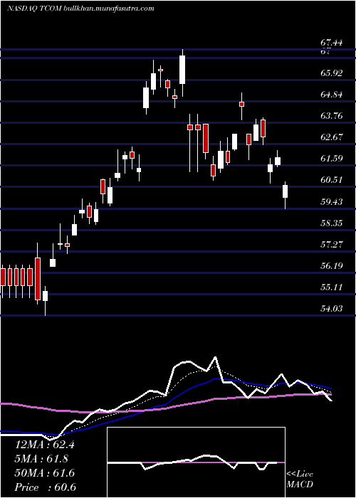  Daily chart TripCom