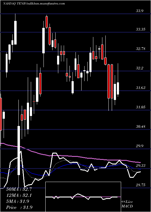  Daily chart TenableHoldings