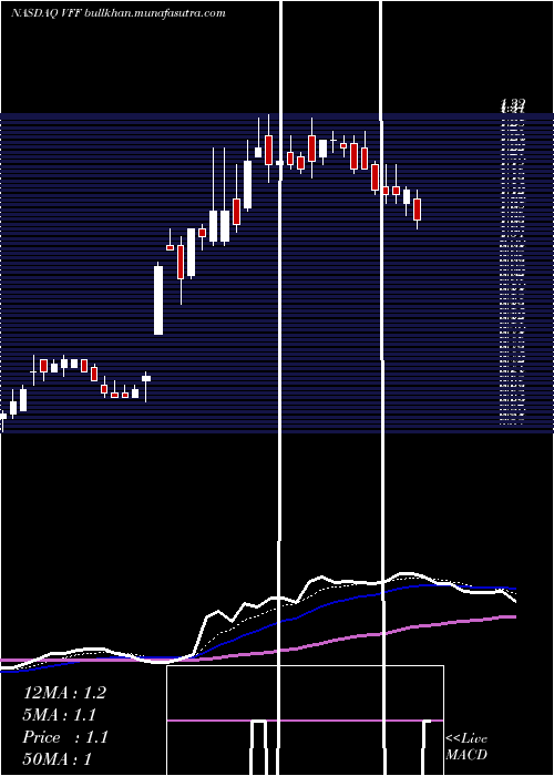 Daily chart VillageFarms