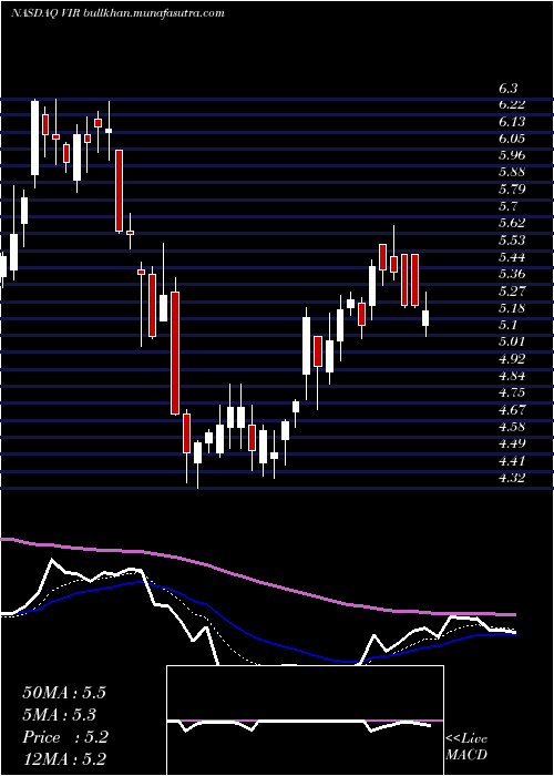  Daily chart VirBiotechnology