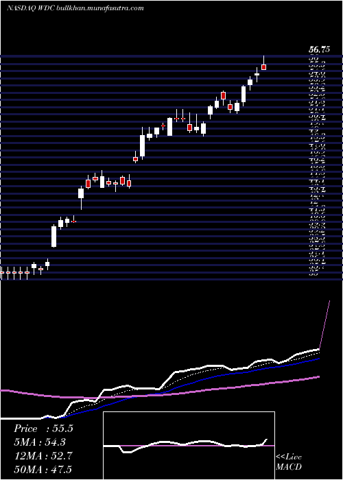  Daily chart WesternDigital