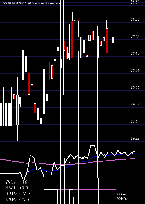  Daily chart GWilli