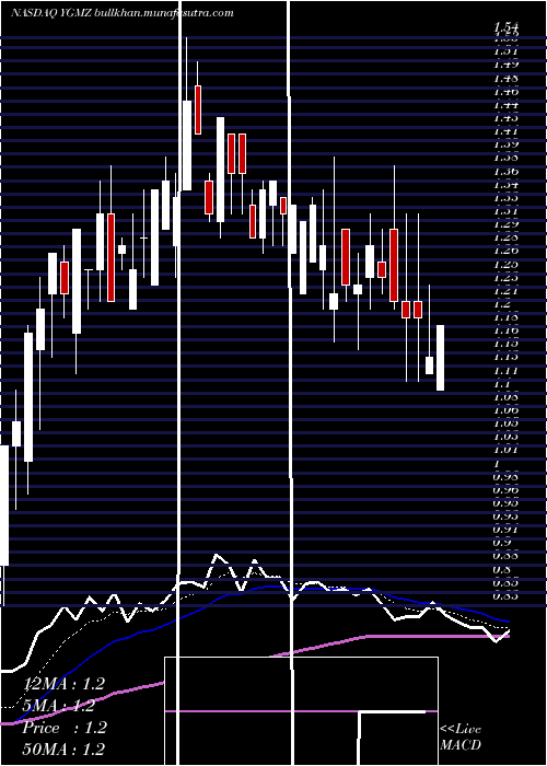  Daily chart MingzhuLogistics