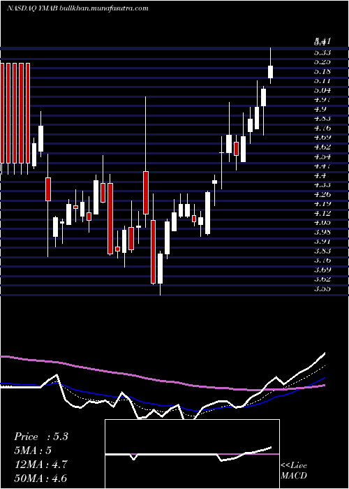  Daily chart YMabs