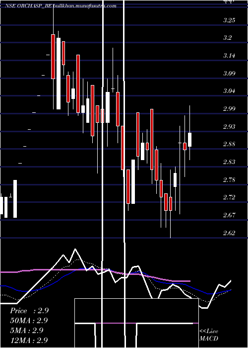  Daily chart Orchasp
