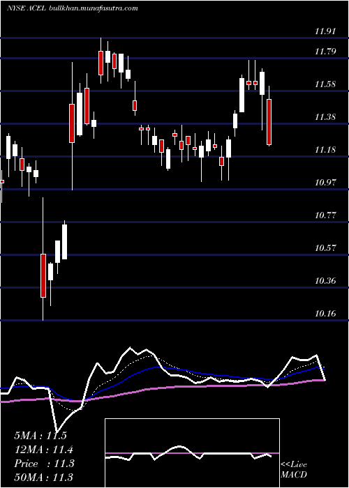  Daily chart AccelEntertainment