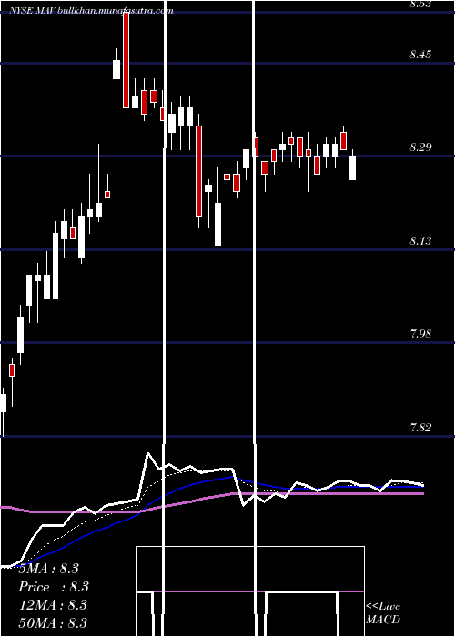  Daily chart PioneerMunicipal