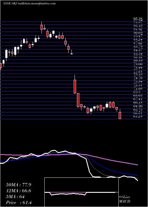 Daily chart SkylineChampion