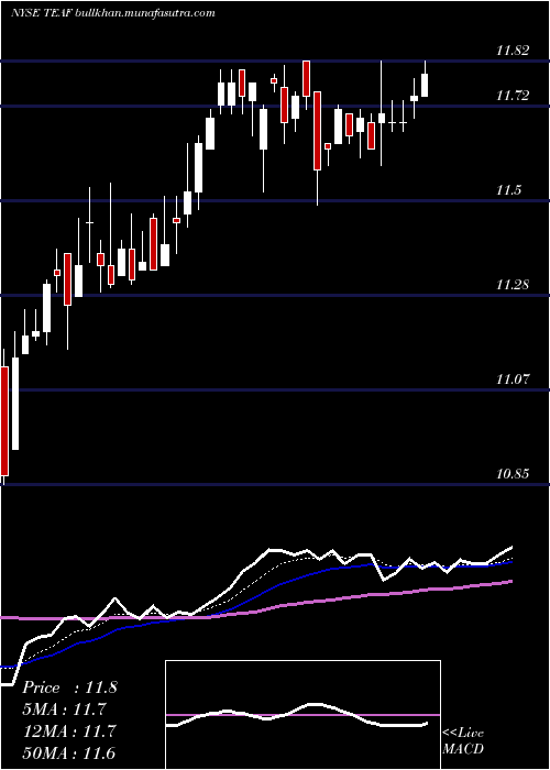 Daily chart TortoiseEssential