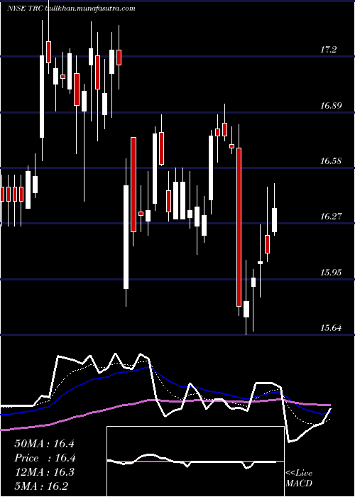  Daily chart TejonRanch