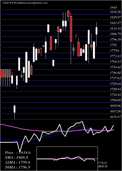  Daily chart WhiteMountains
