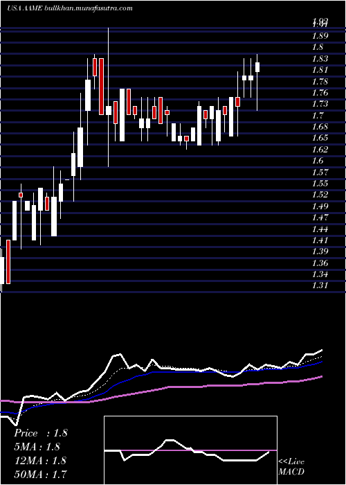  Daily chart AtlanticAmerican
