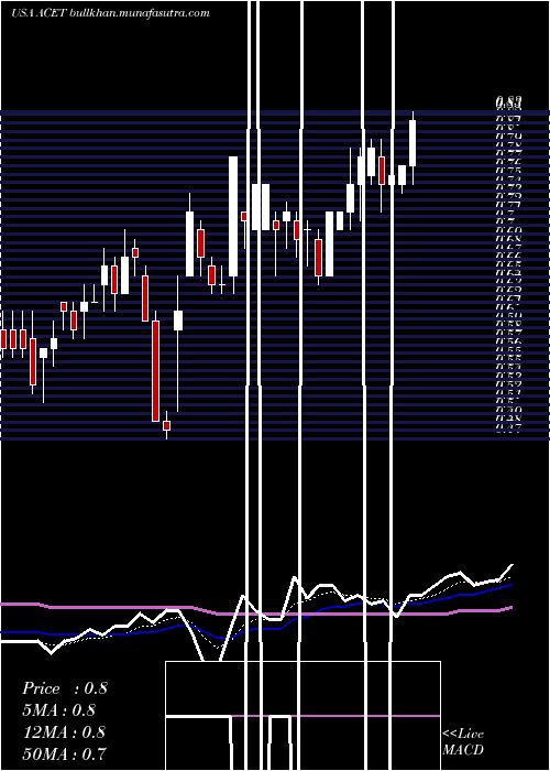  Daily chart AcetoCorporation