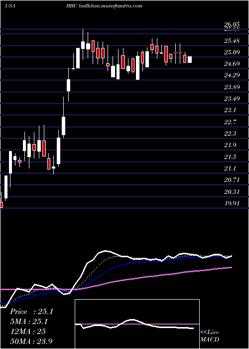  Daily chart BrookfieldBusiness