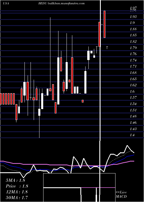 Daily chart BrightScholar