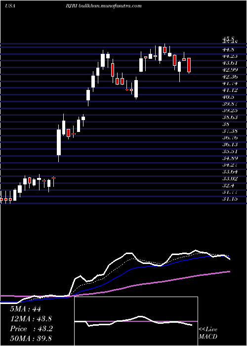  Daily chart BjS