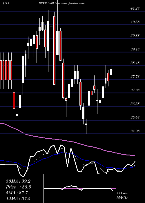  Daily chart BrukerCorporation