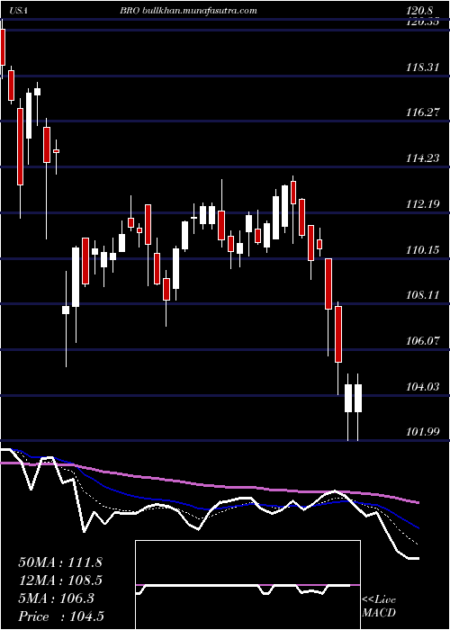  Daily chart BrownBrown