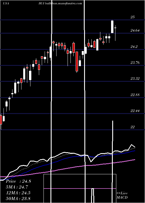  Daily chart BlackrockUtility