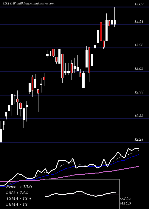  Daily chart MorganStanley