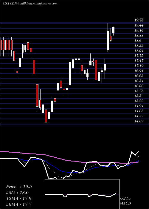  Daily chart CaredxInc