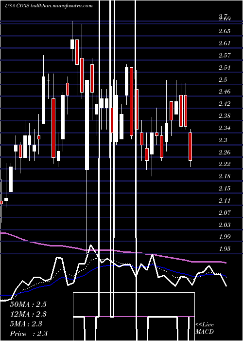  Daily chart CodexisInc