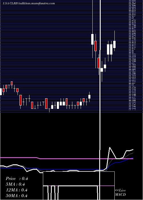  Daily chart CellectarBiosciences