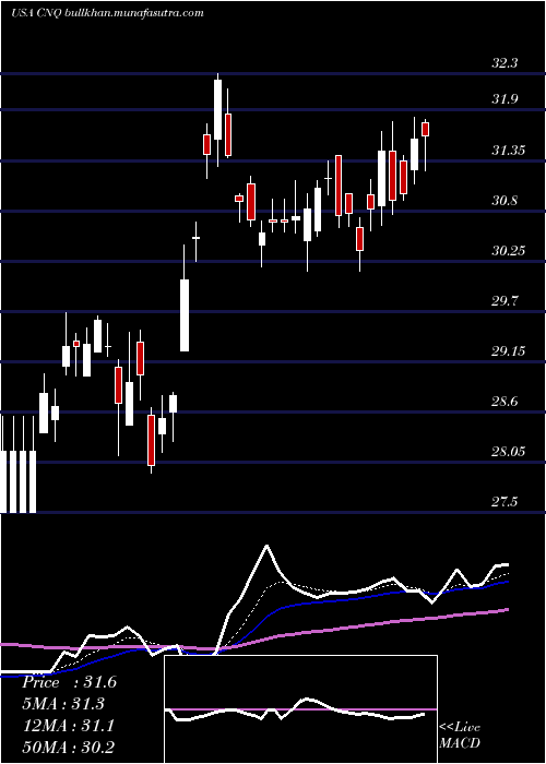  Daily chart CanadianNatural