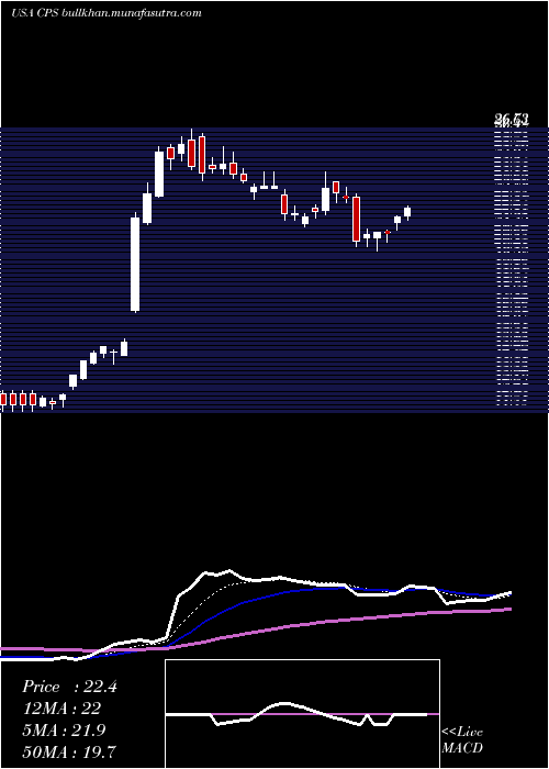  Daily chart CooperStandard
