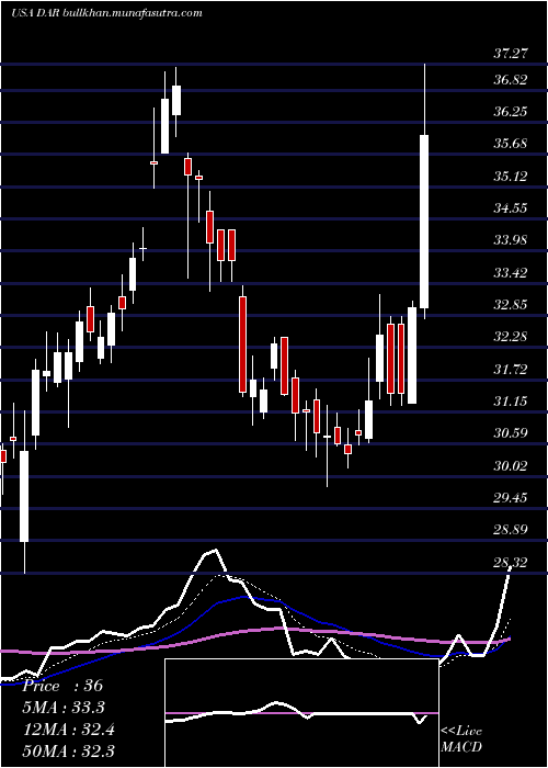  Daily chart DarlingIngredients