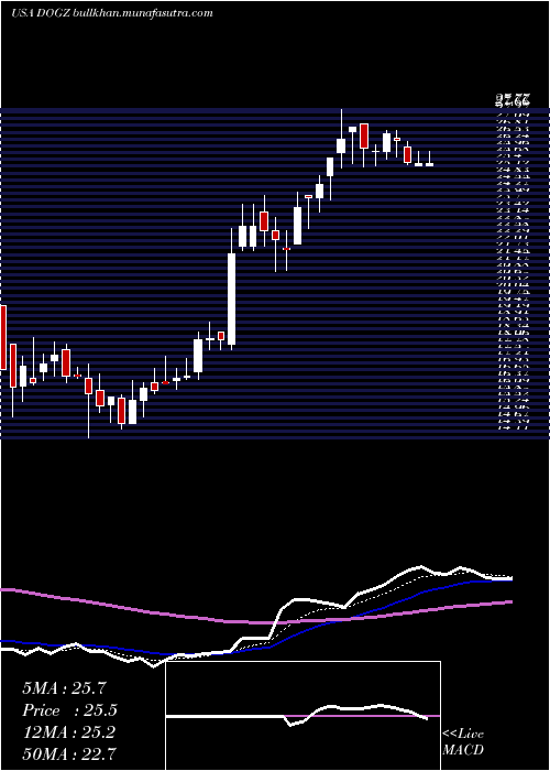  Daily chart DognessInternational