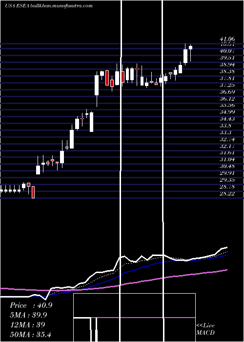 Daily chart Euroseas