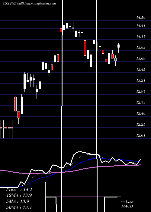  Daily chart FN