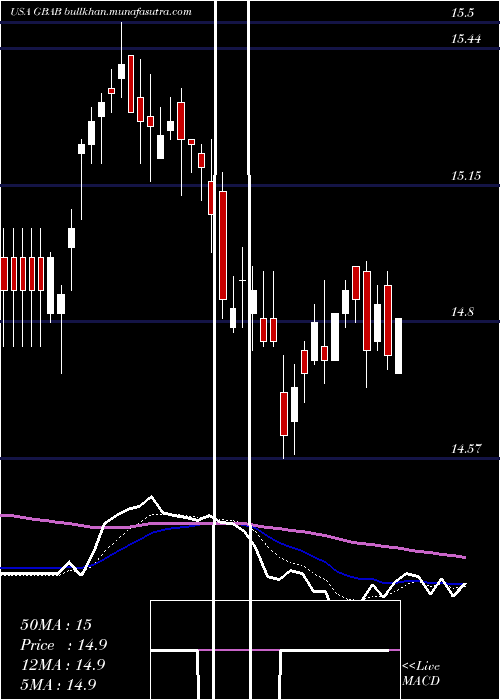  Daily chart GuggenheimTaxable